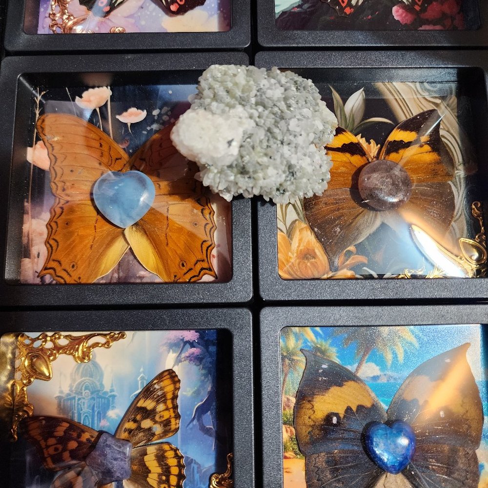 6x Butterfly Artworks with calcite turtle specimen gift